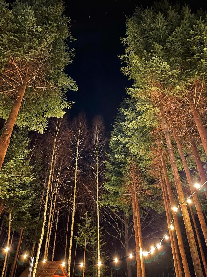Pensiunea Ionela Zemes ภายนอก รูปภาพ