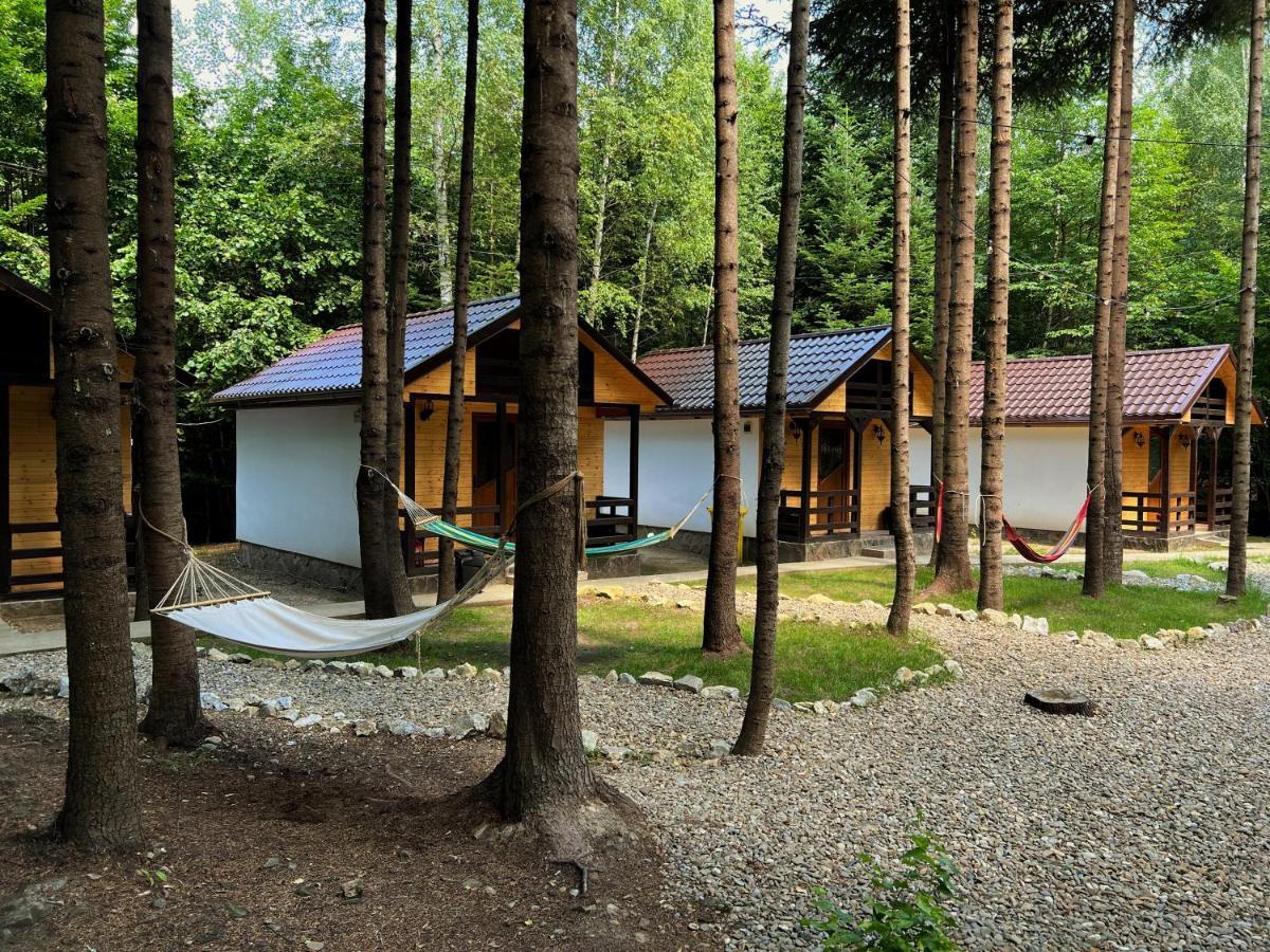 Pensiunea Ionela Zemes ภายนอก รูปภาพ